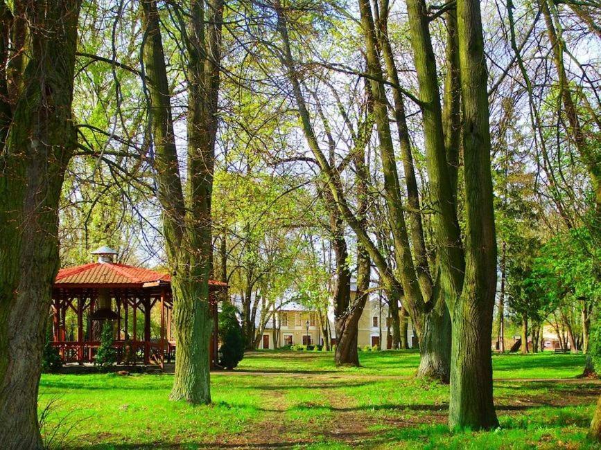 Hotel Rytwiany Palac Bagian luar foto